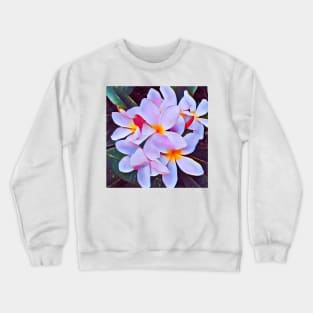 Frangipane Crewneck Sweatshirt